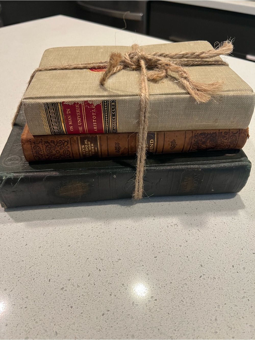 Vintage Decorative Book Bundle of 3 | Antique Style Hardcover Books